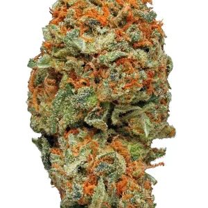 ak 47 weed strain.webp