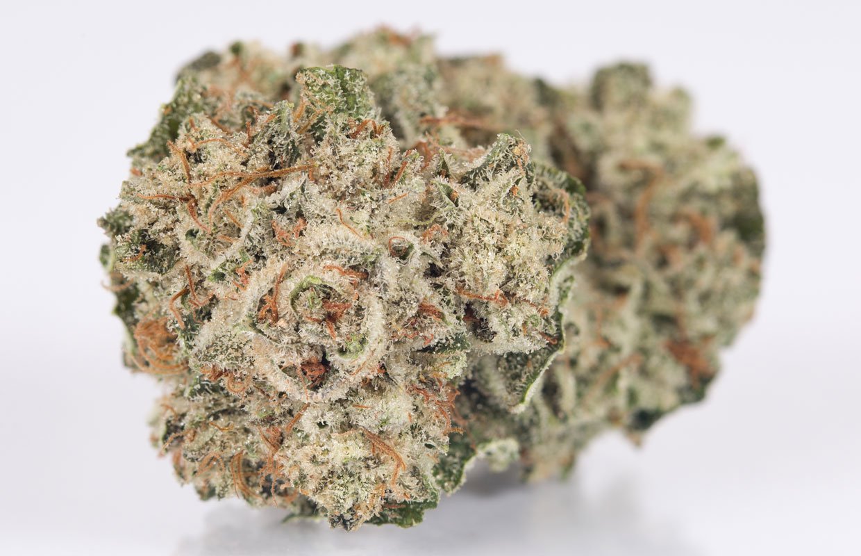 bud gorilla glue 4 weed strain.jpg