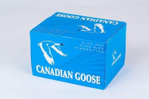 canadian goose lights 1.jpg