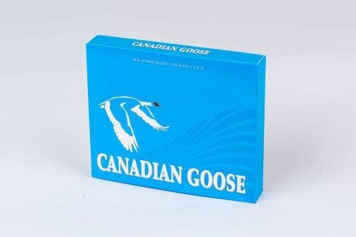 canadian goose lights 2.jpg