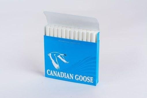canadian goose lights 3.jpg