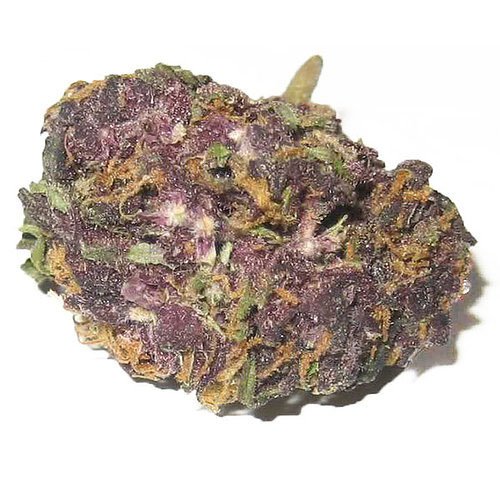 granddaddy purple indica.jpg