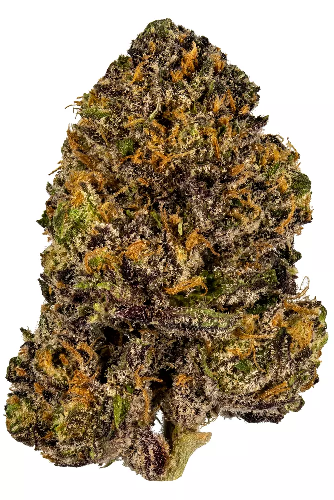grandy daddy purple.webp