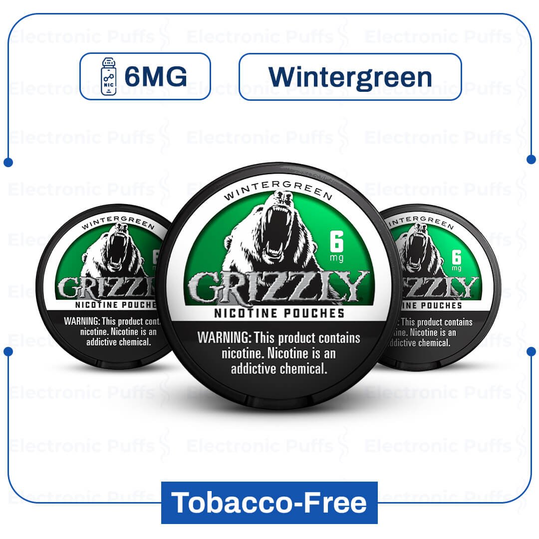 grizzly wintergreen 6 mg nicotine pouch.jpg