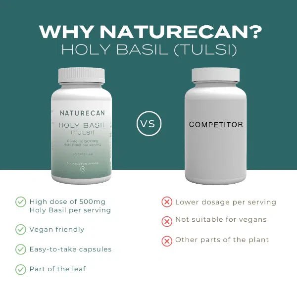 holybasilcompetitor 600x600socialtile.pdf.jpg