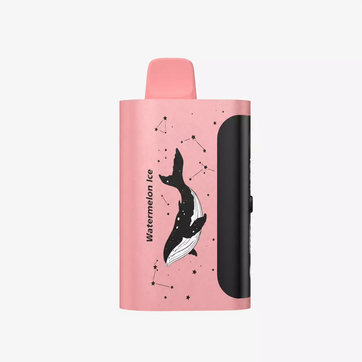 watermelon ice.webp