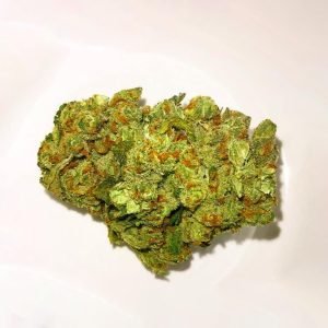 blue cheese strain picture 2.jpg