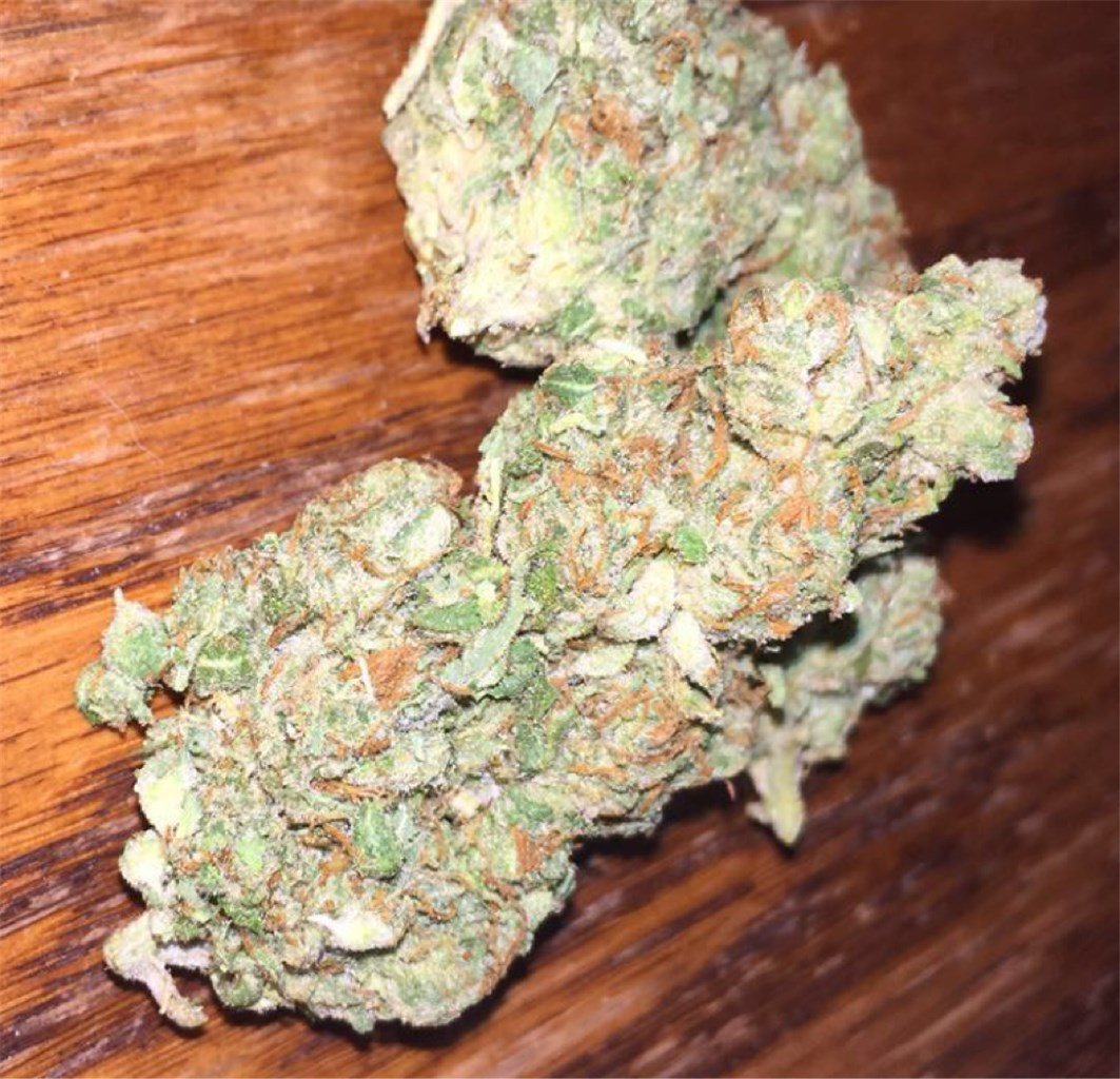 gorilla glue 4 primary b9cc.jpg