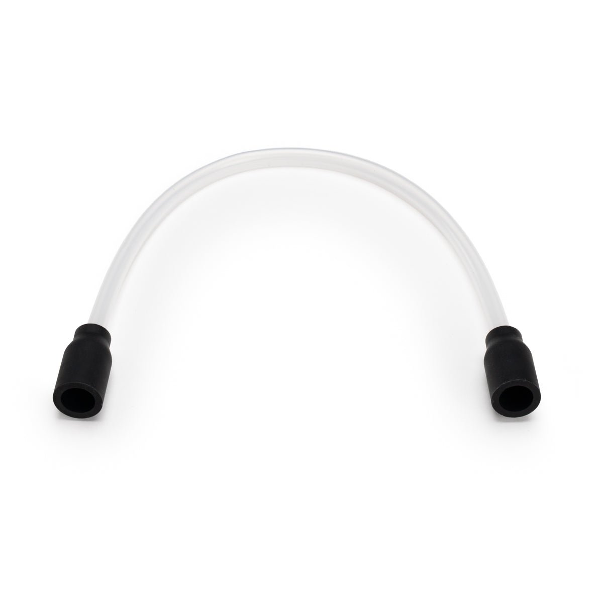 whip 01.jpg