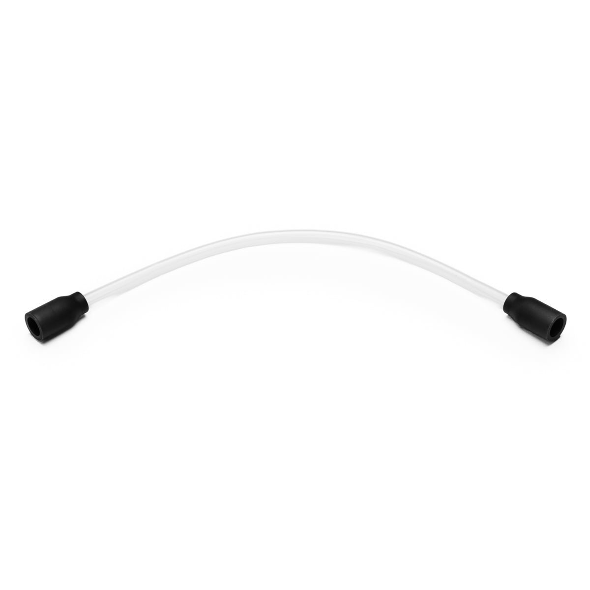 whip 02.jpg